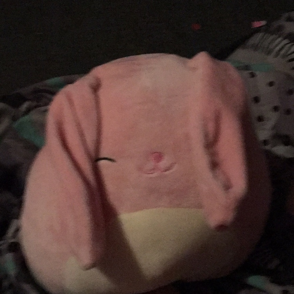 Stuffed Animal it is a rabbit